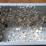 bread pan greased and muesli'd