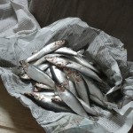 Cook: To Fry Sprats. Omega 3 breakfast richness.