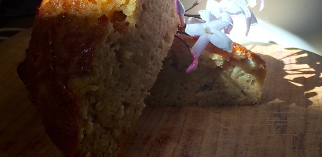 Cook: Pound Cake revisited - Crunchy Butter Cake